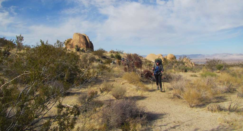 A veteran poses for a photo in front of the vast desert landscape of joshua tree national park.